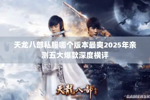 天龙八部私服哪个版本最爽2025年亲测五大爆款深度横评