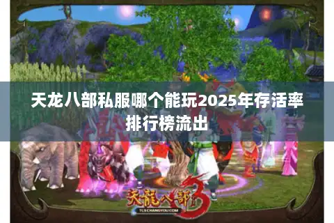 天龙八部私服哪个能玩2025年存活率排行榜流出 天龙八部私服哪个能玩2025年存活率排行榜流出