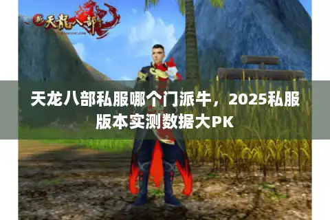 天龙八部私服哪个门派牛，2025私服版本实测数据大PK