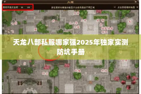 天龙八部私服哪家强2025年独家实测防坑手册