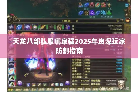 天龙八部私服哪家强2025年资深玩家防割指南