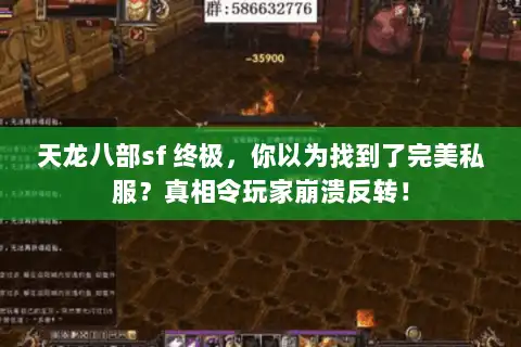 天龙八部sf 终极，你以为找到了完美私服？真相令玩家崩溃反转！