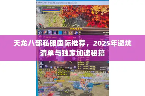 天龙八部私服国际推荐，2025年避坑清单与独家加速秘籍