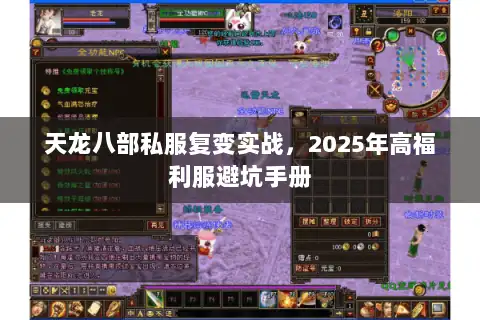 天龙八部私服复变实战，2025年高福利服避坑手册