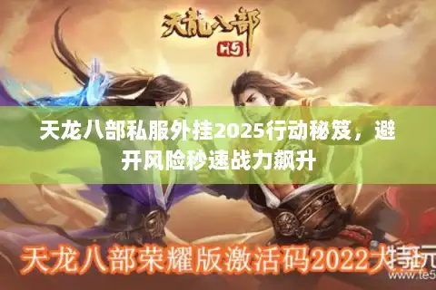 天龙八部私服外挂2025行动秘笈，避开风险秒速战力飙升