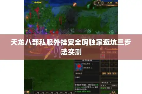 天龙八部私服外挂安全吗独家避坑三步法实测