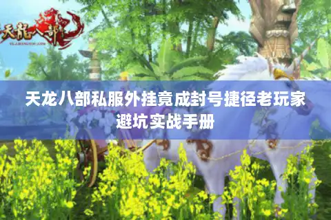 天龙八部私服外挂竟成封号捷径老玩家避坑实战手册