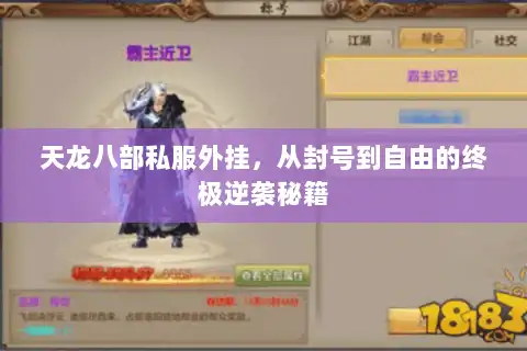 天龙八部私服外挂,从封号到自由的终极逆袭秘籍 天龙八部私服外挂,从封号到自由的终极逆袭秘籍