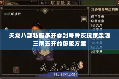 天龙八部私服多开零封号骨灰玩家亲测三屏五开的秘密方案