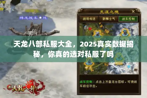 天龙八部私服大全，2025真实数据揭秘，你真的选对私服了吗