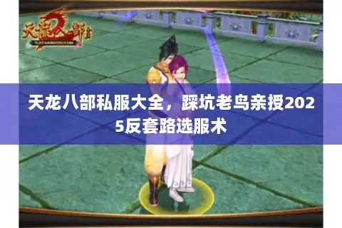天龙八部私服大全,踩坑老鸟亲授2025反套路选服术 天龙八部私服大全,踩坑老鸟亲授2025反套路选服术