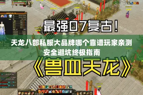 天龙八部私服大品牌哪个靠谱玩家亲测安全避坑终极指南