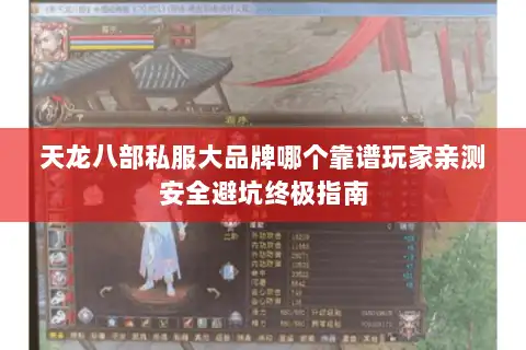 天龙八部私服大品牌哪个靠谱玩家亲测安全避坑终极指南