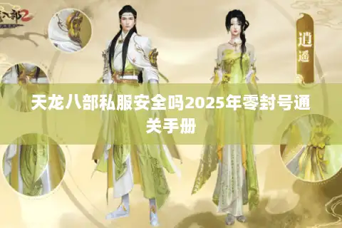 天龙八部私服安全吗2025年零封号通关手册