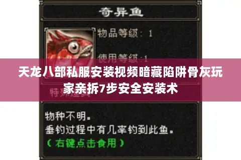 天龙八部私服安装视频暗藏陷阱骨灰玩家亲拆7步安全安装术