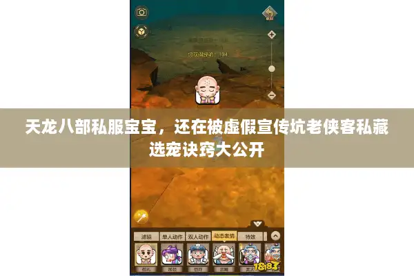天龙八部私服宝宝，还在被虚假宣传坑老侠客私藏选宠诀窍大公开