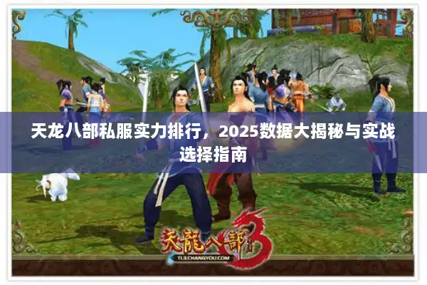 天龙八部私服实力排行，2025数据大揭秘与实战选择指南