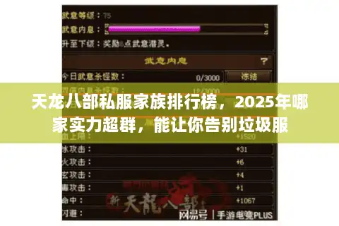 天龙八部私服家族排行榜，2025年哪家实力超群，能让你告别垃圾服