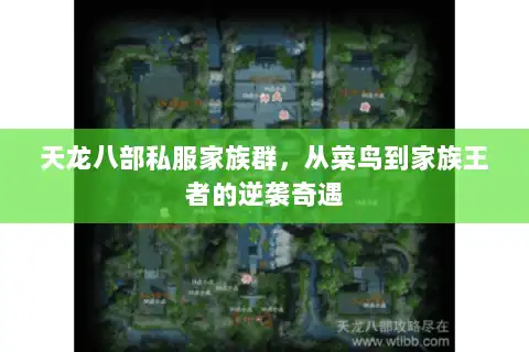 天龙八部私服家族群，从菜鸟到家族王者的逆袭奇遇