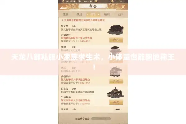 天龙八部私服小家族求生术,小体量也能圈地称王! 天龙八部私服小家族求生术,小体量也能圈地称王!