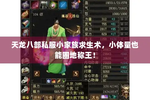 天龙八部私服小家族求生术,小体量也能圈地称王! 天龙八部私服小家族求生术,小体量也能圈地称王!