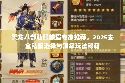 天龙八部私服峨眉专家推荐，2025安全私服选择与顶级玩法秘籍