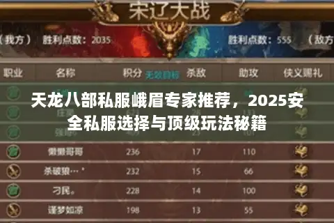 天龙八部私服峨眉专家推荐，2025安全私服选择与顶级玩法秘籍