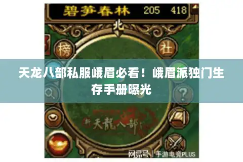 天龙八部私服峨眉必看!峨眉派独门生存手册曝光 天龙八部私服峨眉必看!峨眉派独门生存手册曝光