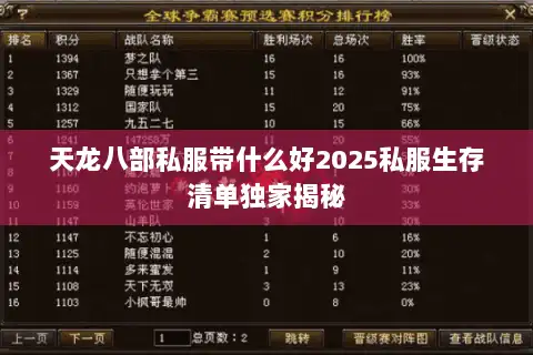 天龙八部私服带什么好2025私服生存清单独家揭秘