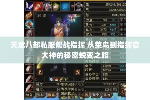 天龙八部私服帮战指挥 从菜鸟到指挥官大神的秘密蜕变之路 天龙八部私服帮战指挥 从菜鸟到指挥官大神的秘密蜕变之路