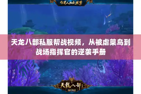 天龙八部私服帮战视频,从被虐菜鸟到战场指挥官的逆袭手册 天龙八部私服帮战视频,从被虐菜鸟到战场指挥官的逆袭手册