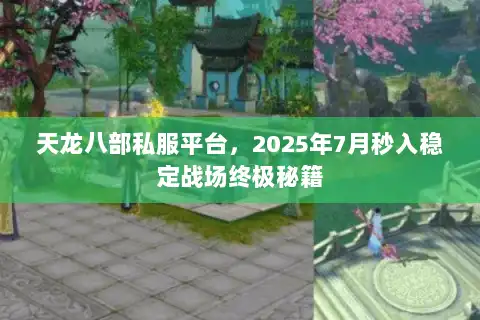 天龙八部私服平台,2025年7月秒入稳定战场终极秘籍 天龙八部私服平台,2025年7月秒入稳定战场终极秘籍