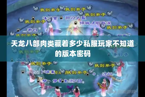 天龙八部肉类藏着多少私服玩家不知道的版本密码