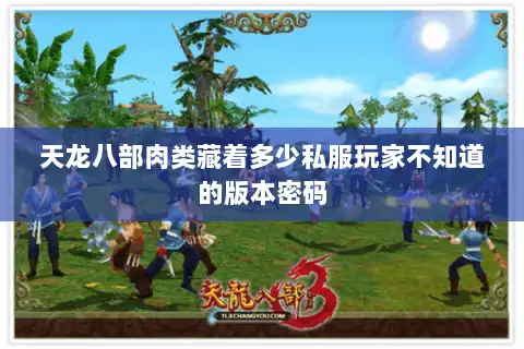 天龙八部肉类藏着多少私服玩家不知道的版本密码