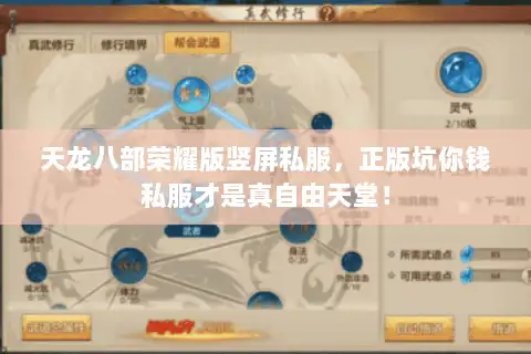天龙八部荣耀版竖屏私服，正版坑你钱私服才是真自由天堂！