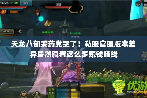 天龙八部采药党哭了!私服官服版本差异居然藏着这么多赚钱暗线 天龙八部采药党哭了!私服官服版本差异居然藏着这么多赚钱暗线