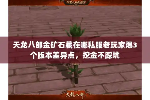 天龙八部金矿石藏在哪私服老玩家爆3个版本差异点，挖金不踩坑