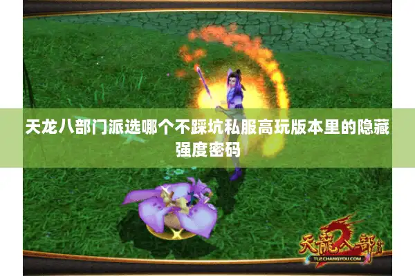 天龙八部门派选哪个不踩坑私服高玩版本里的隐藏强度密码