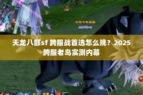 天龙八部sf 跨服战首选怎么挑?2025跨服老鸟实测内幕 天龙八部sf 跨服战首选怎么挑?2025跨服老鸟实测内幕