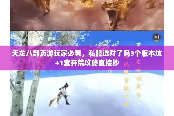 天龙八部页游玩家必看，私服选对了吗3个版本坑+1套开荒攻略直接抄