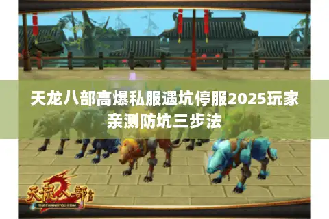 天龙八部高爆私服遇坑停服2025玩家亲测防坑三步法