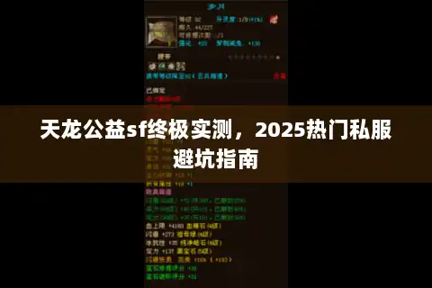 天龙公益sf终极实测，2025热门私服避坑指南