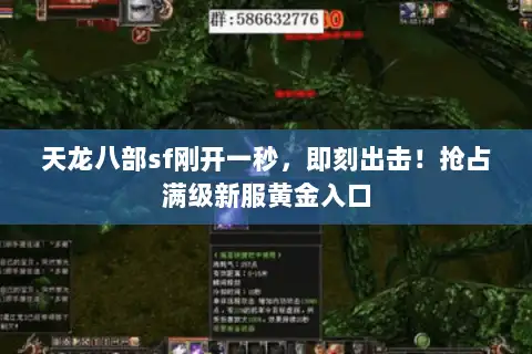 天龙八部sf刚开一秒，即刻出击！抢占满级新服黄金入口