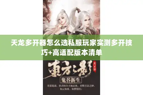 天龙多开器怎么选私服玩家实测多开技巧+高适配版本清单