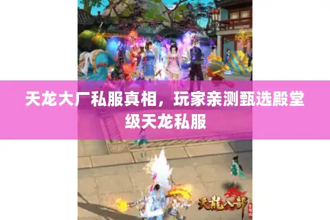 天龙大厂私服真相，玩家亲测甄选殿堂级天龙私服