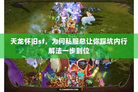 天龙怀旧sf，为何私服总让你踩坑内行解法一步到位