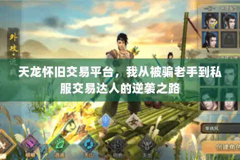 天龙怀旧交易平台，我从被骗老手到私服交易达人的逆袭之路