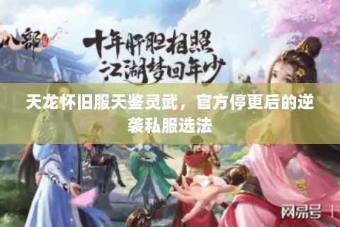 天龙怀旧服天鉴灵武,官方停更后的逆袭私服选法 天龙怀旧服天鉴灵武,官方停更后的逆袭私服选法