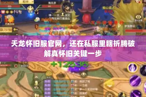 天龙怀旧服官网,还在私服里瞎折腾破解真怀旧关键一步 天龙怀旧服官网,还在私服里瞎折腾破解真怀旧关键一步