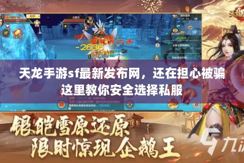天龙手游sf最新发布网，还在担心被骗这里教你安全选择私服